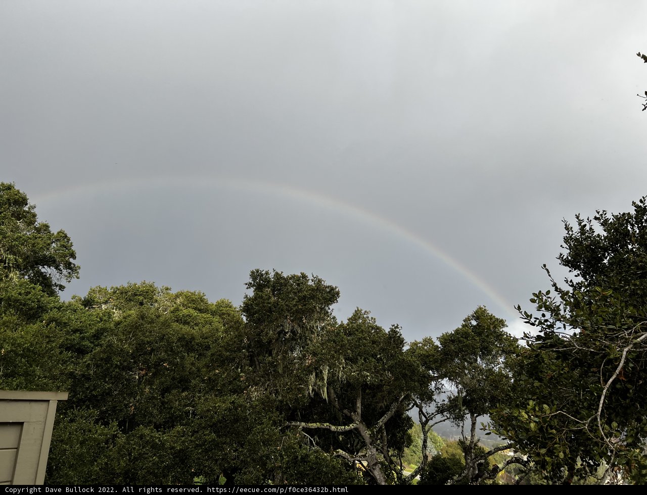 Enchanting Rainbow over Carmel Trees