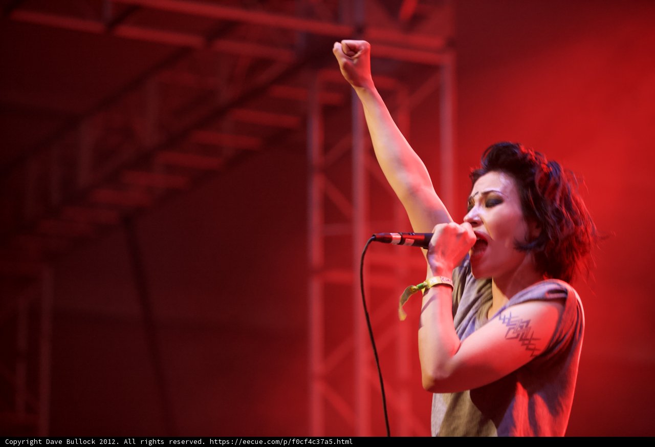 Tattooed Singer Takes Coachella Stage