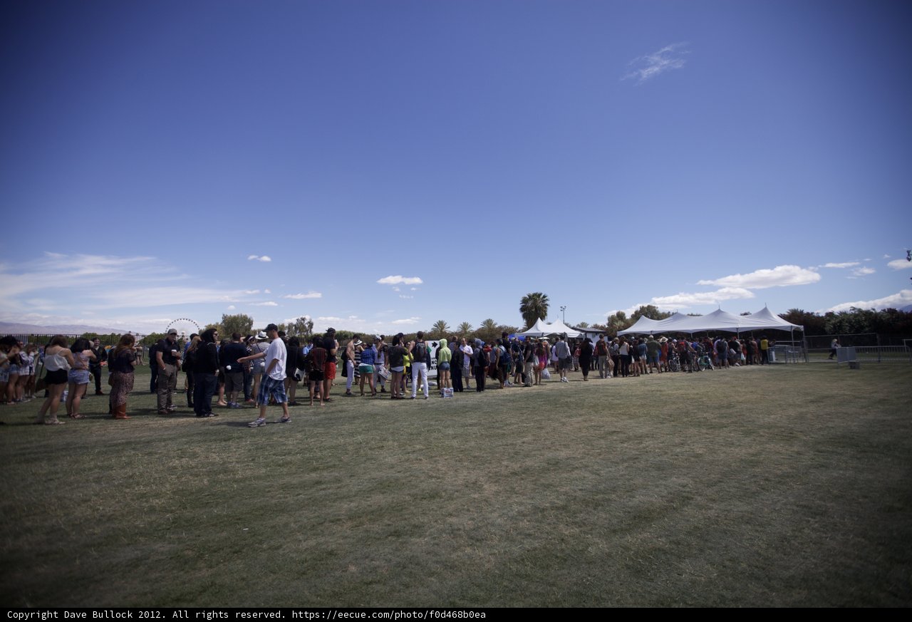 Festival Frenzy