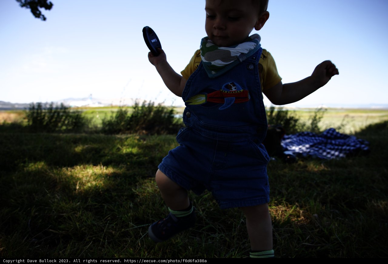 A Sunny Afternoon Play in Millbrae, 2023