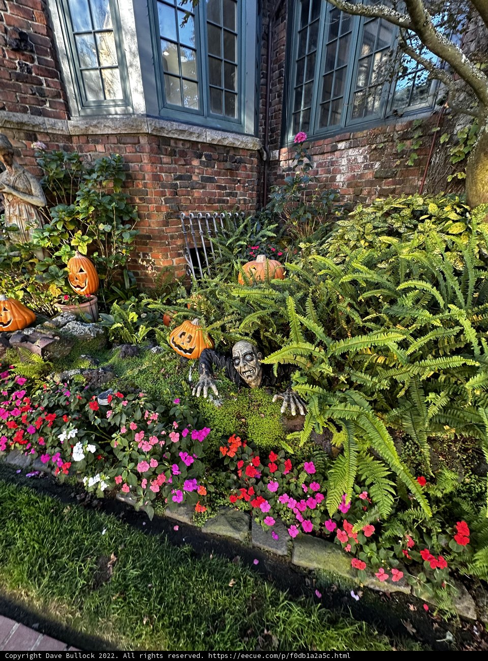 Harvest Season at Michael Berryman's Garden