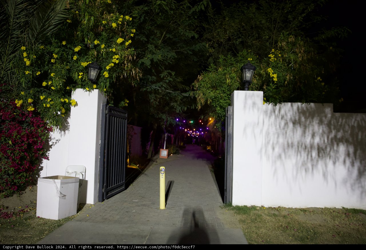 Mystical Pathway at Midnight