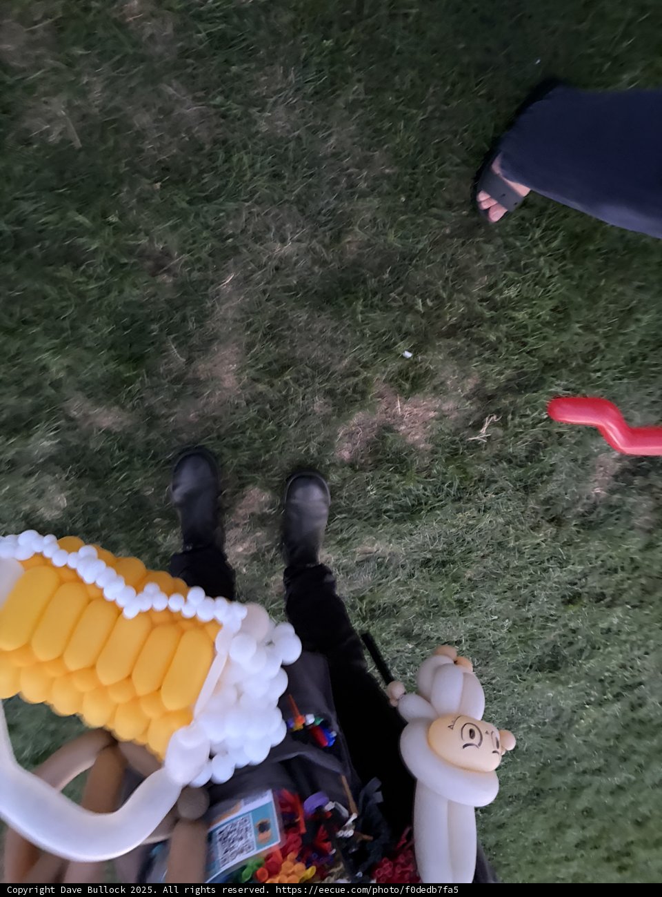 Whimsical Moments on a Grassy Canvas