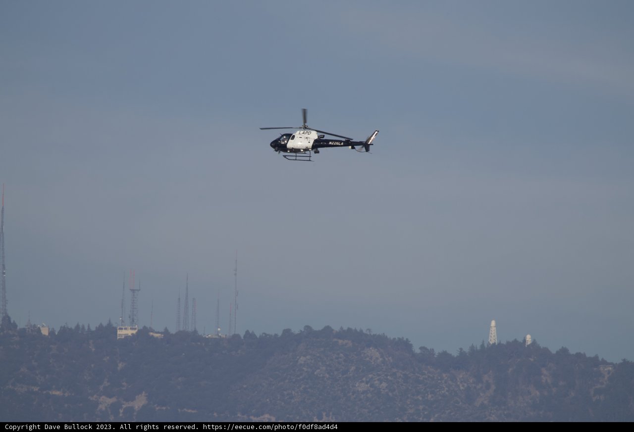 Soaring High: An Avian Perspective