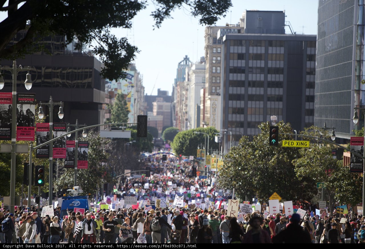Massive Crowd Marches Through LA Streets