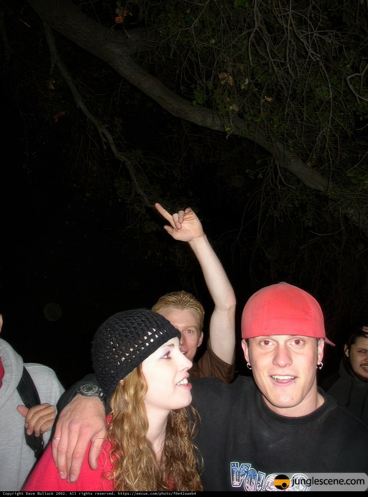 Summer Night by the Tree