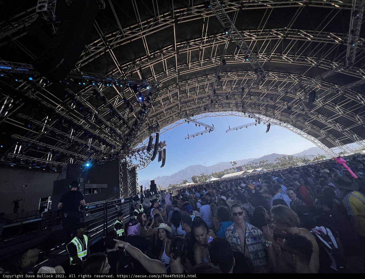 Music Festival Madness