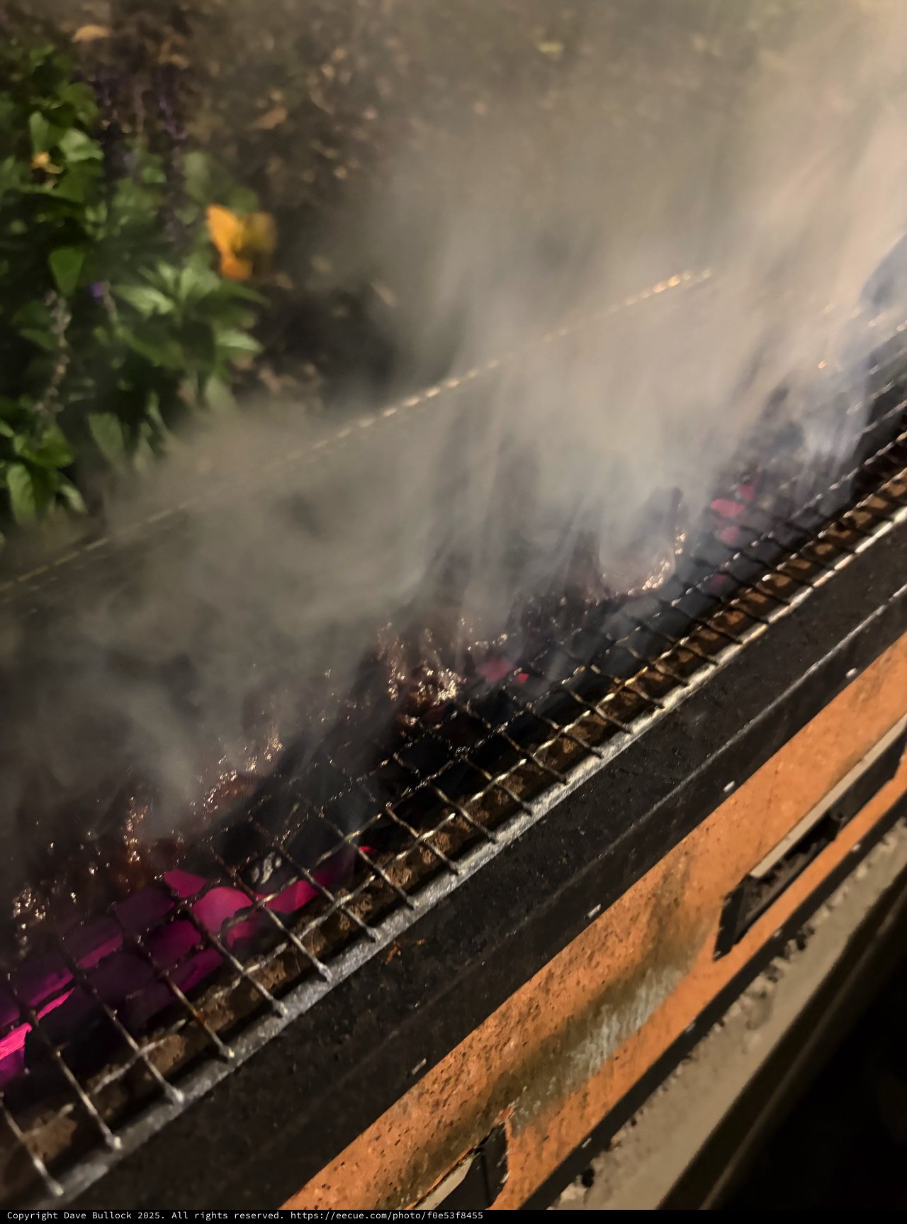 Grilling Kebabs Over Smoky Charcoal Flames