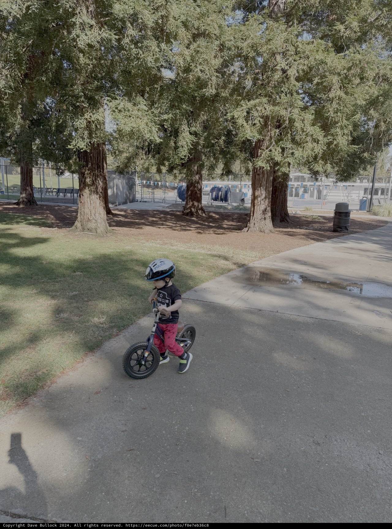 Young Child Learning to Ride Balance Bike