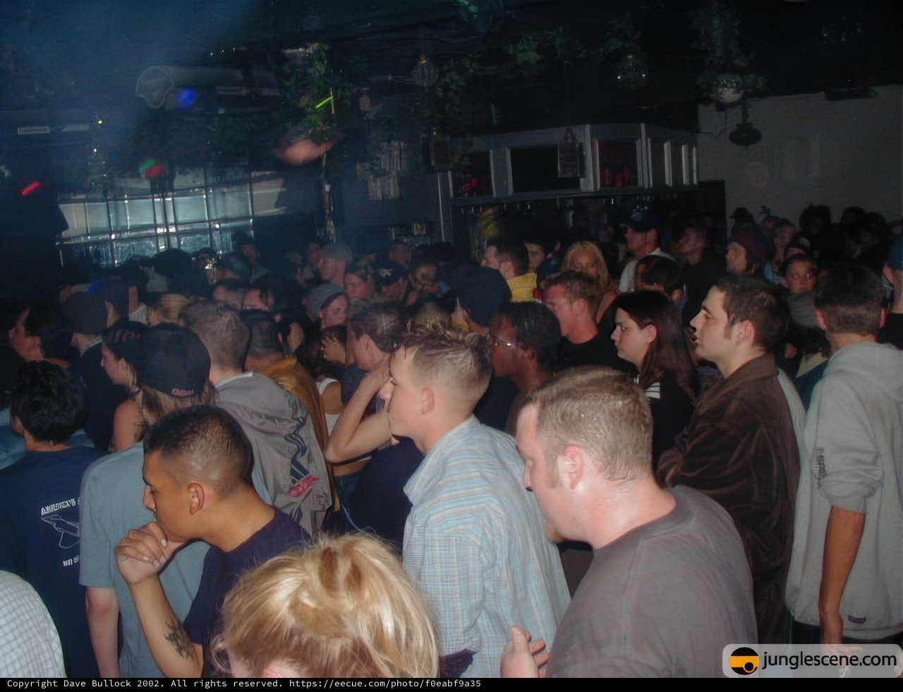 Nightclub Fun