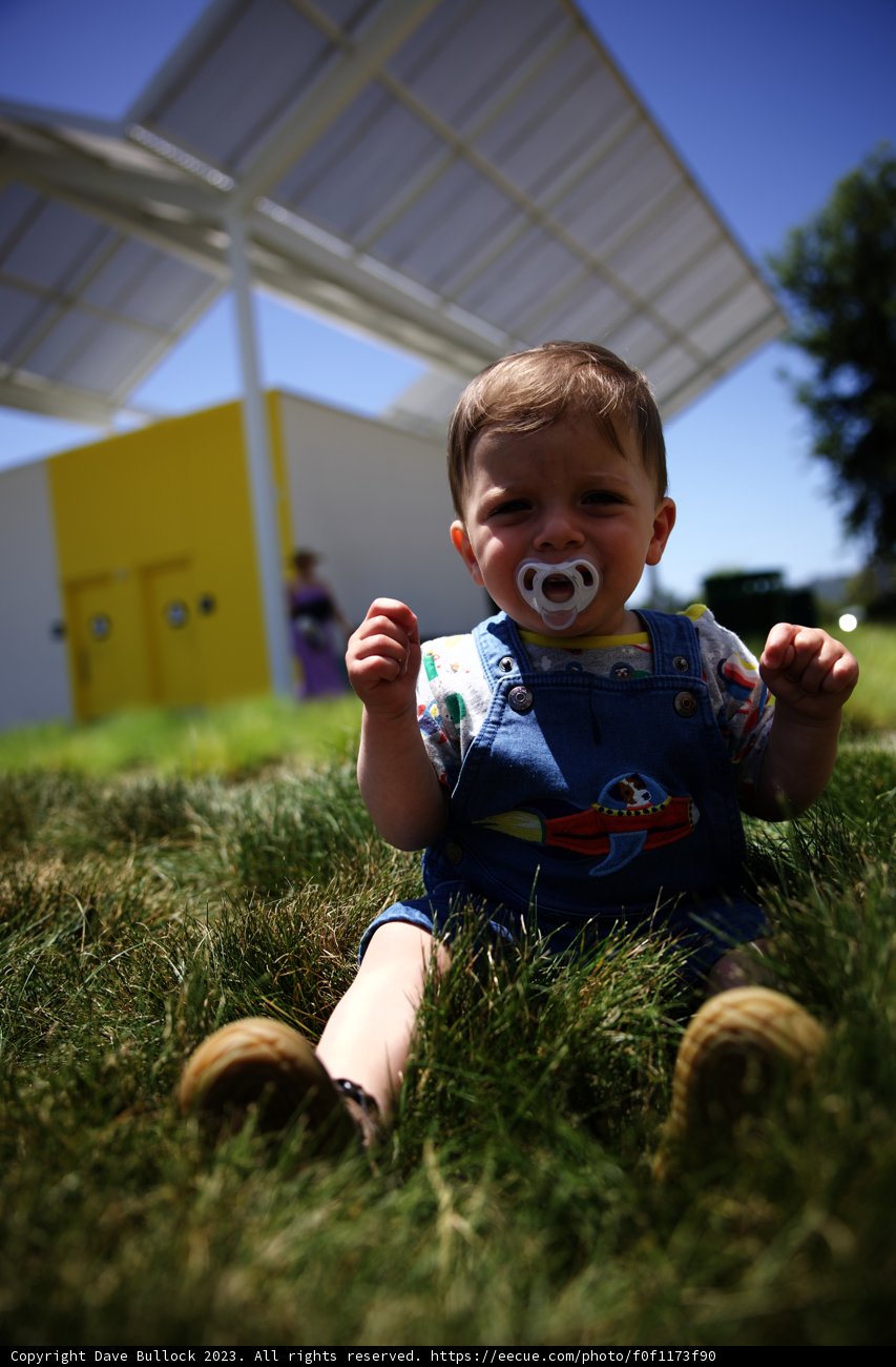 Baby's Delightful Day Out