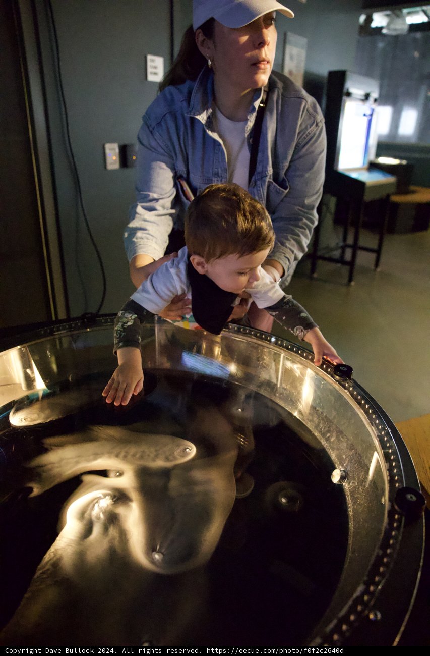 Exploring Wonders with Wesley - 2024