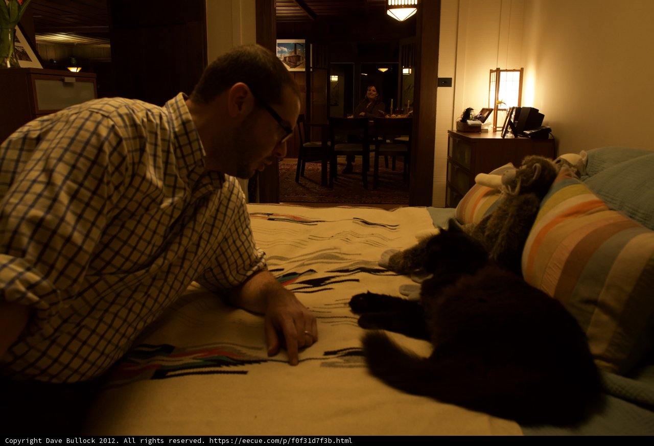 Nighttime Chats with Feline Companion