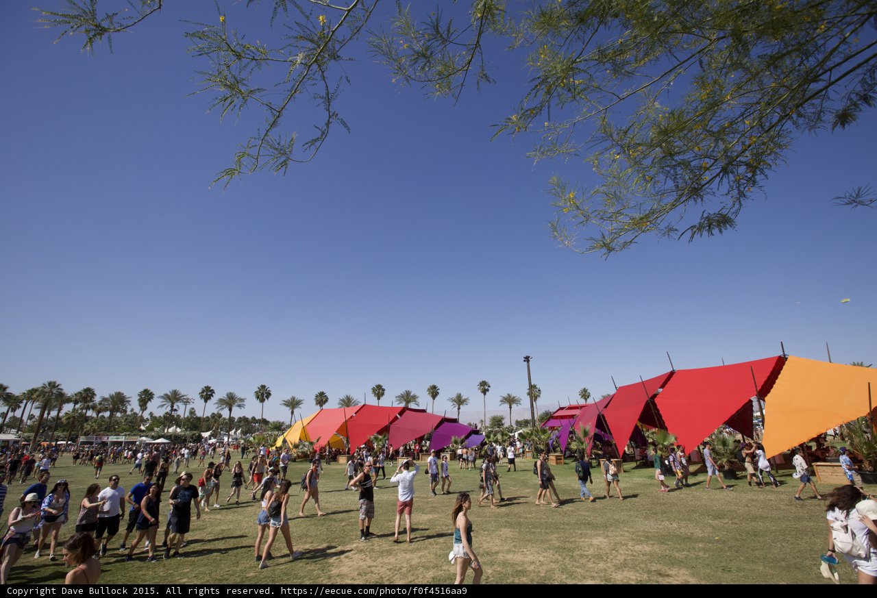 Summer Fun at Coachella