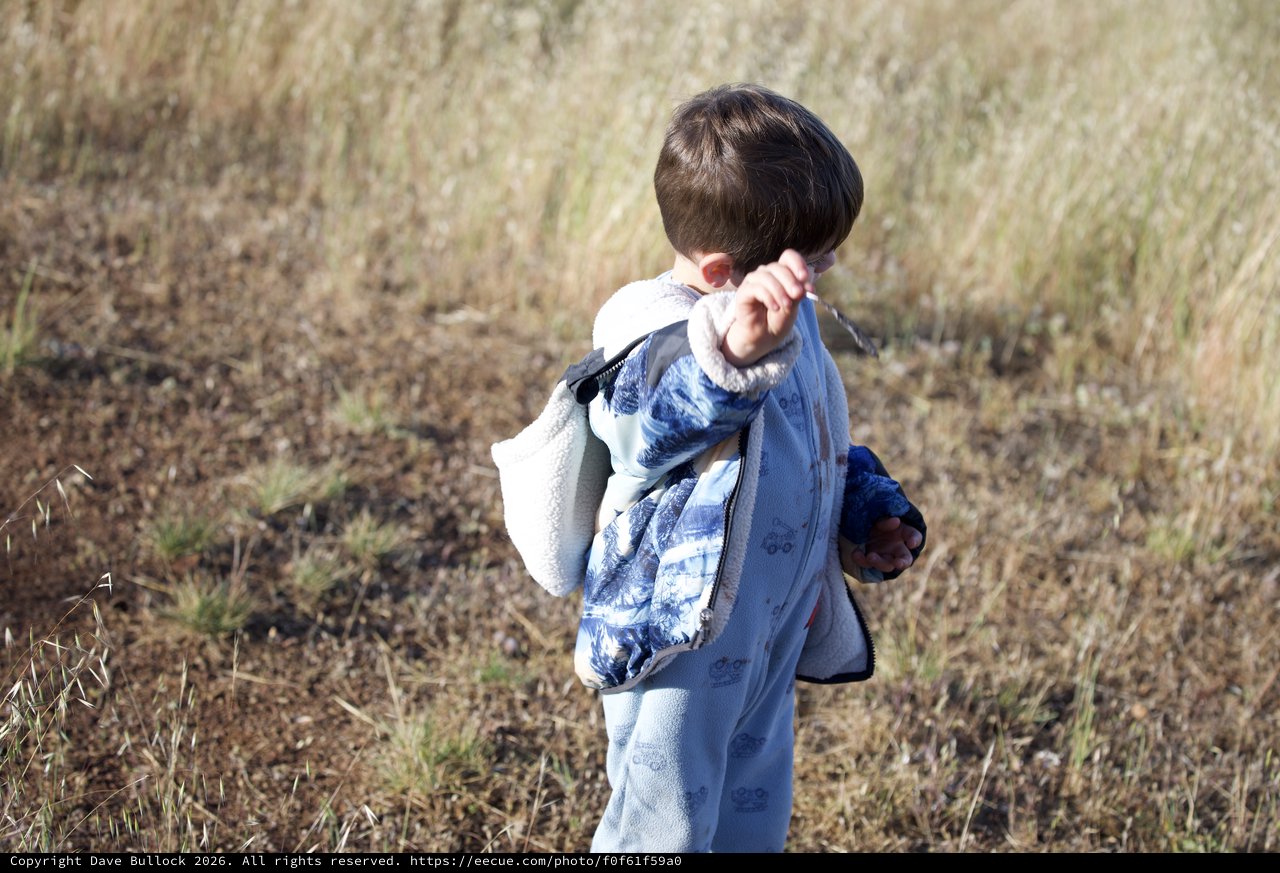 Young Explorer Ventures Through Dry Grassland Field