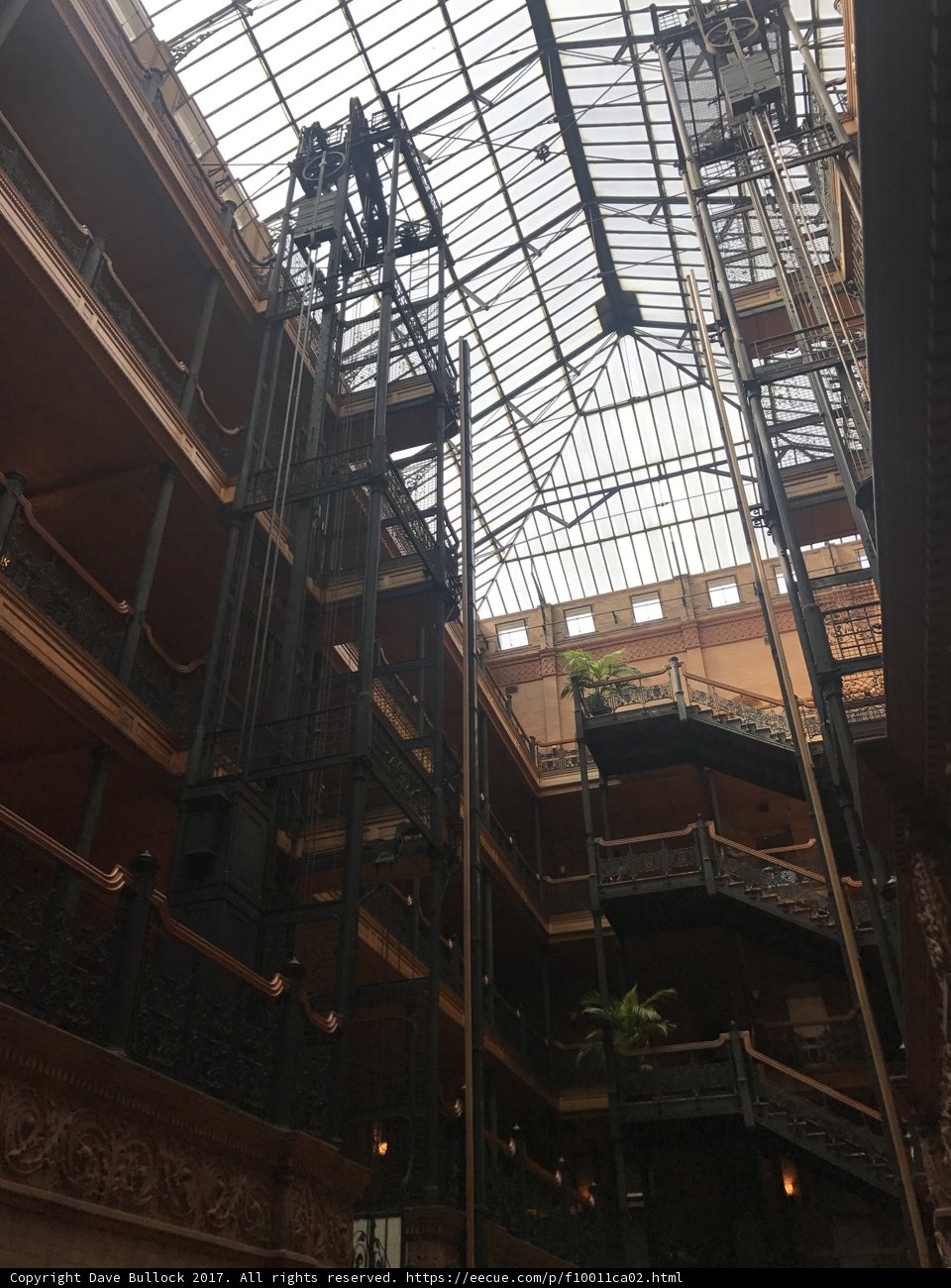 Greenery under the Skylight
