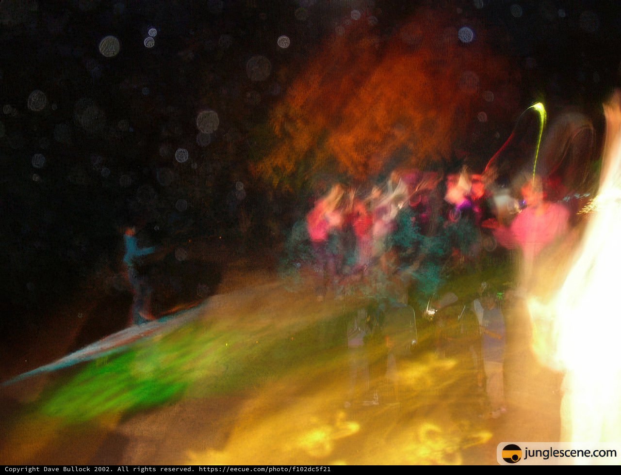 Nightclub Crowd at Summer Dreams Concert
