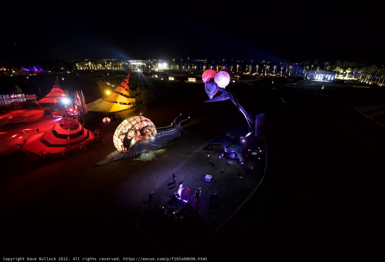 Nighttime Festival Gathering