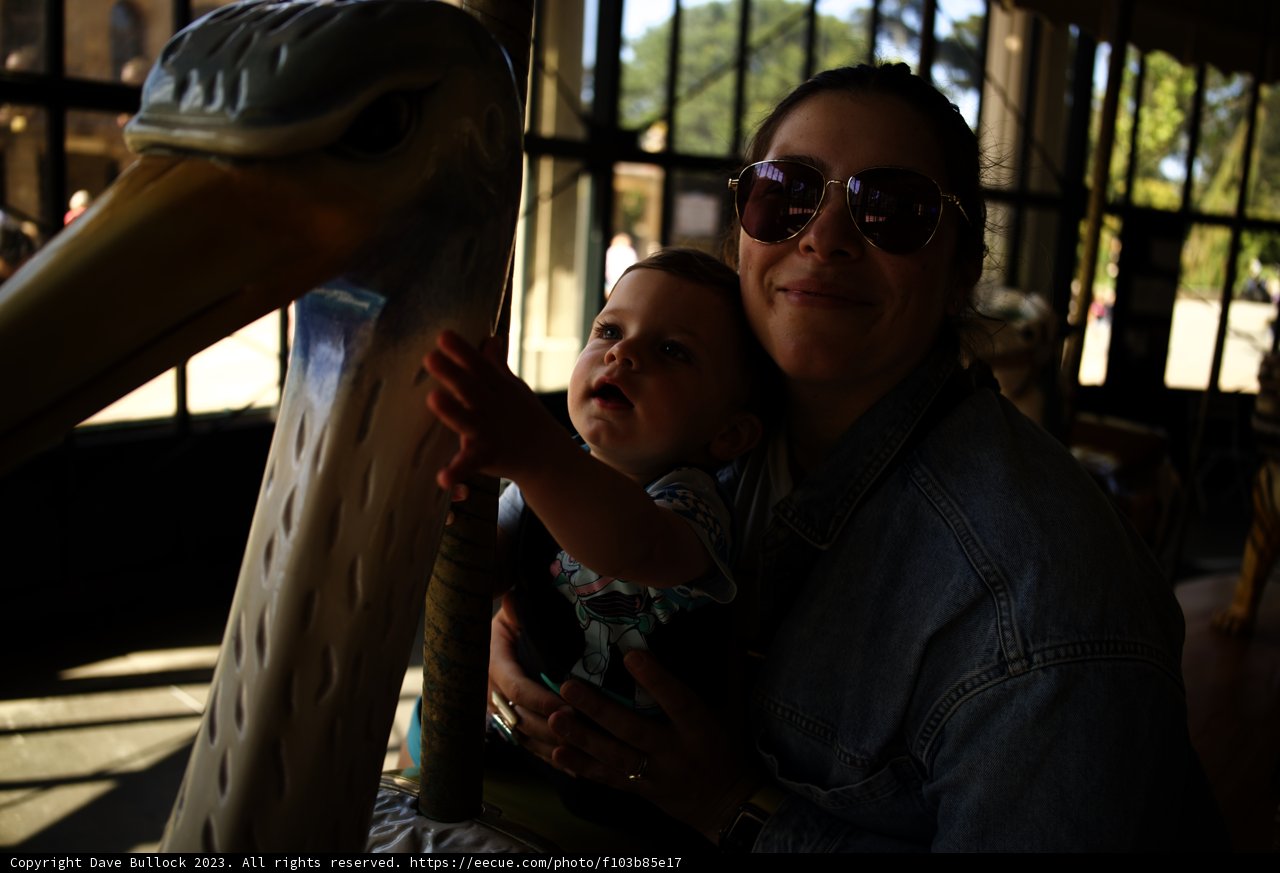 Cherished Moments on the Carousel