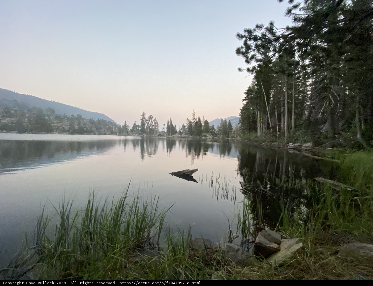 Serenity in the Wild
