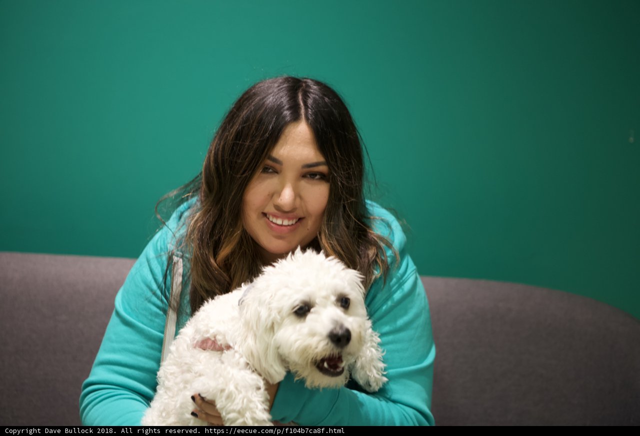 A Happy Woman and her White Dog