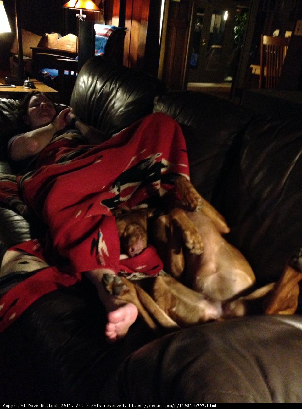 Cozying Up on the Couch