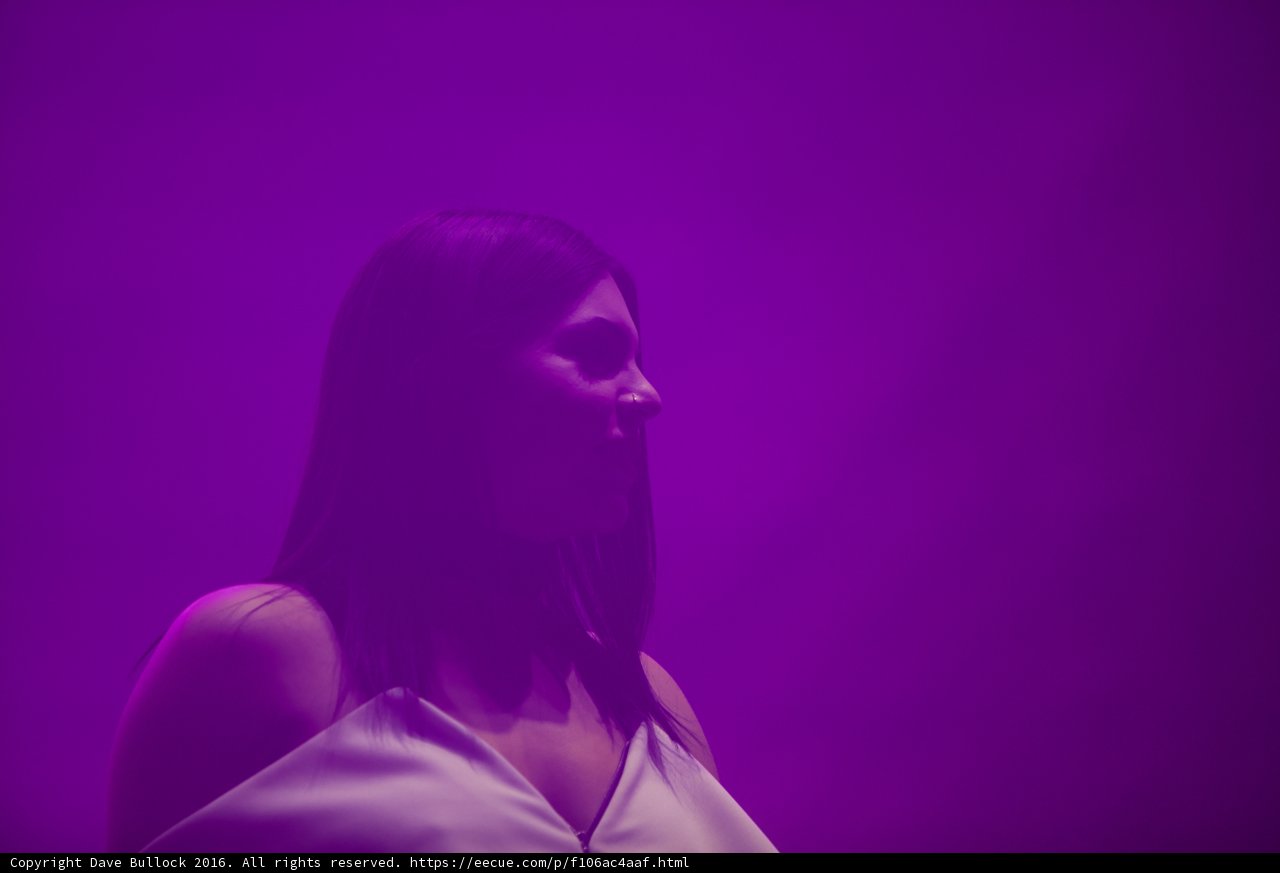 Radiant in Purple