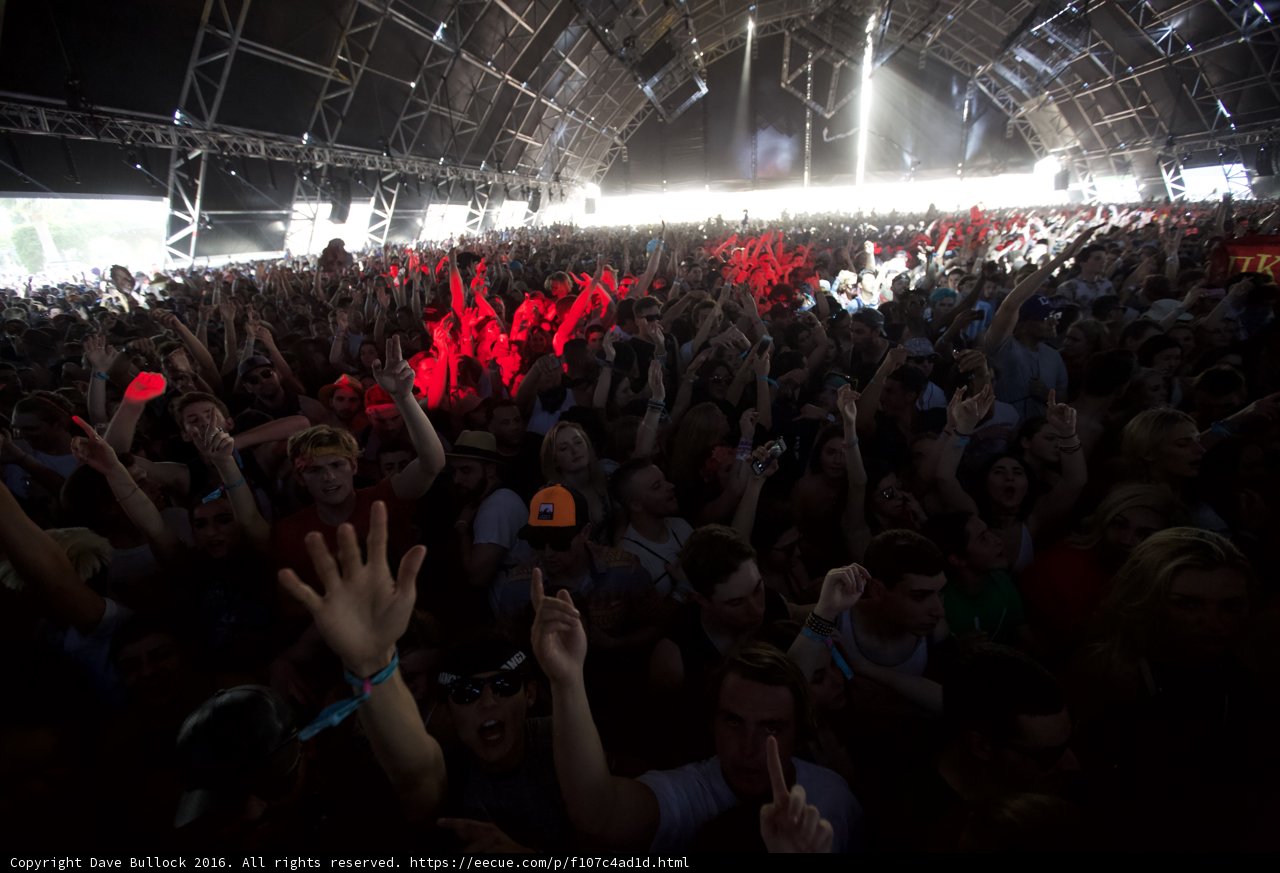 Concert-goers raise the roof