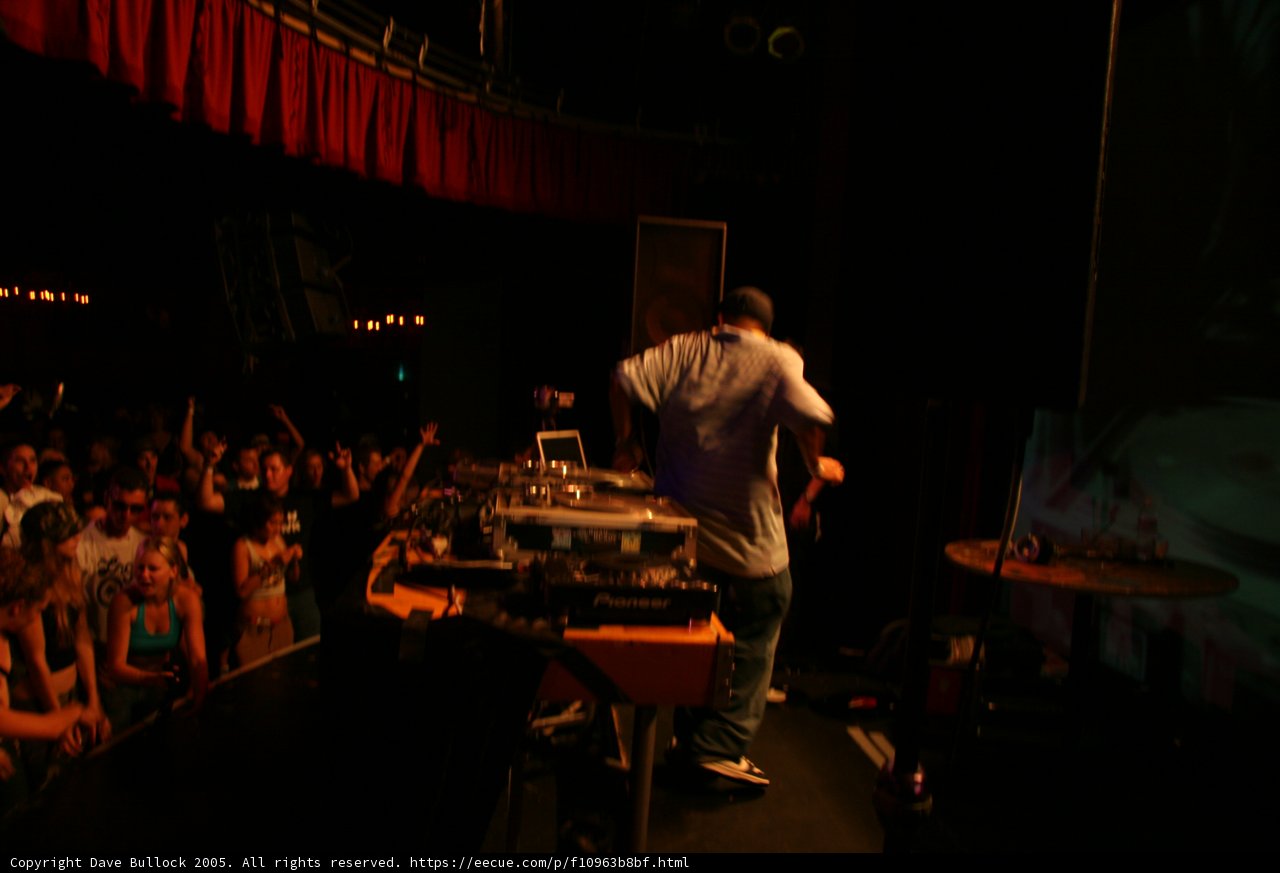 Rockin' the Crowd