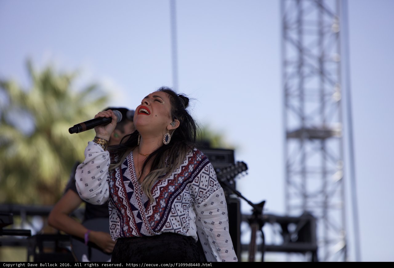 Soulful Serenade Under the Open Sky