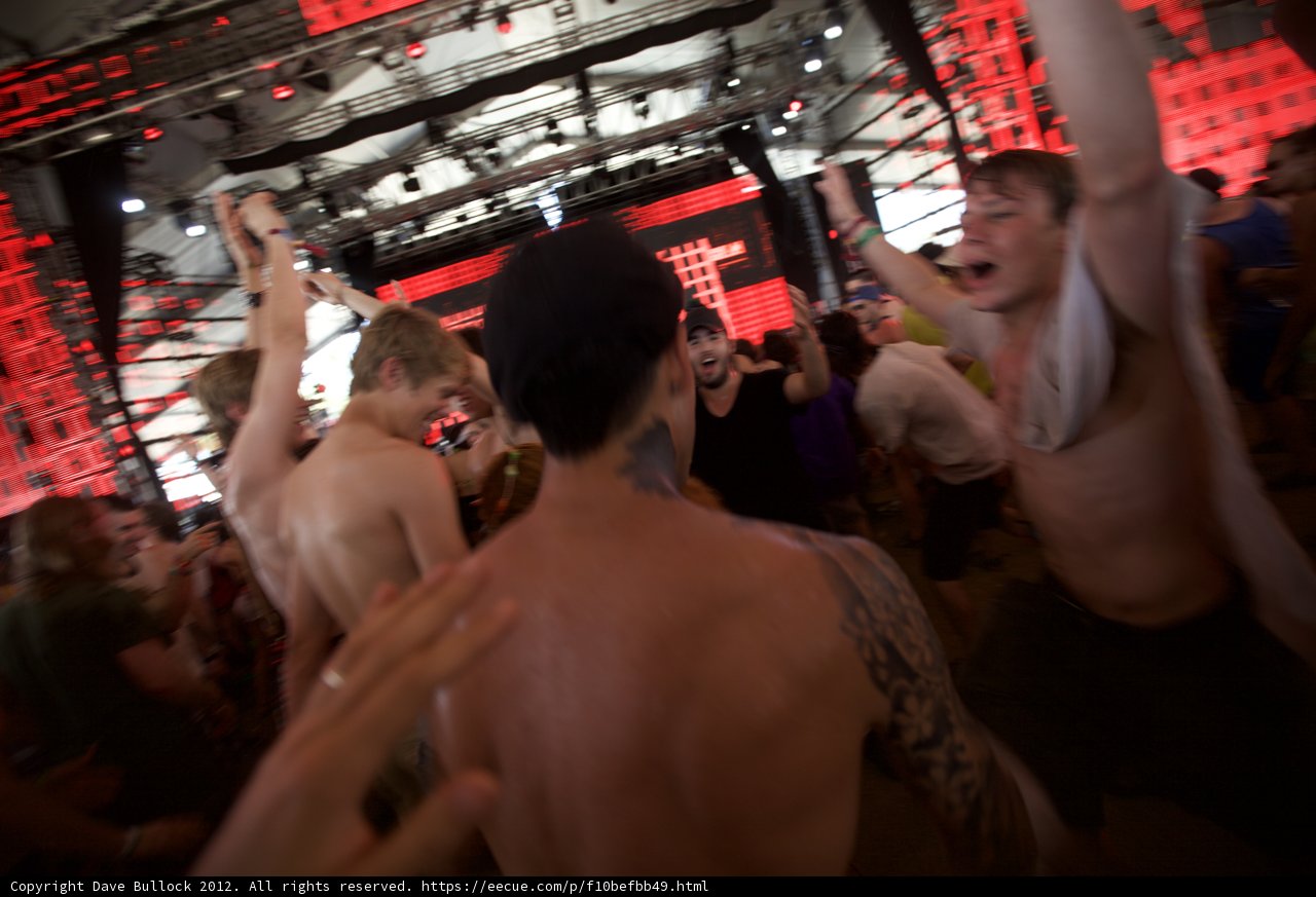 Electric Crowd at Coachella 2012