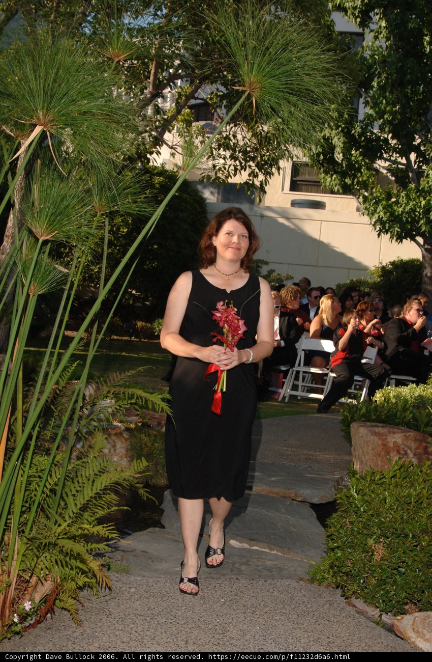 A Garden Soiree