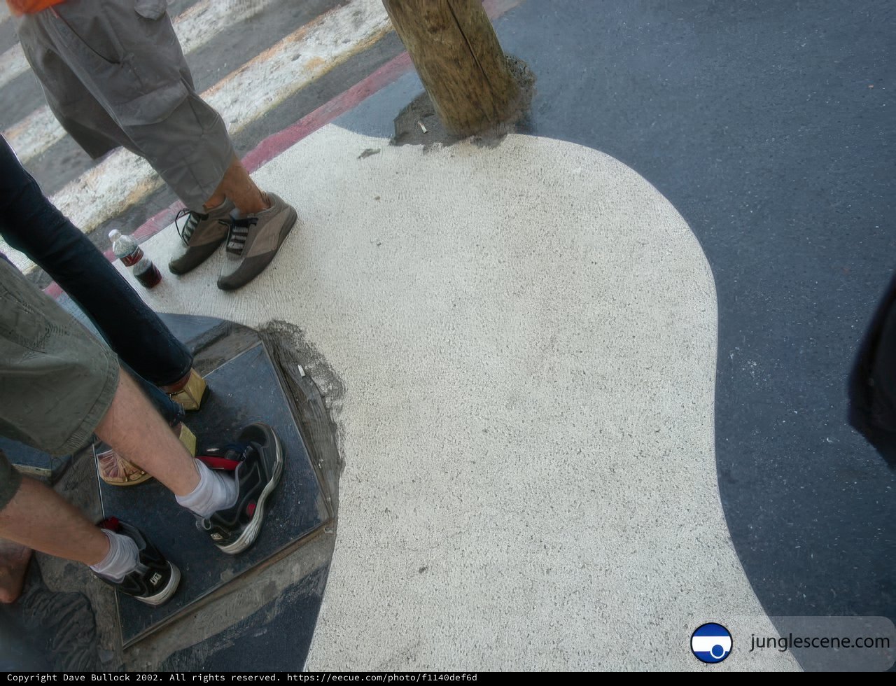 Sneaker Fashion in Ensenada
