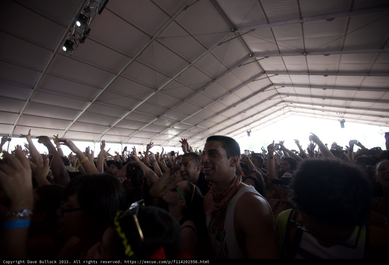 Music Fest Frenzy