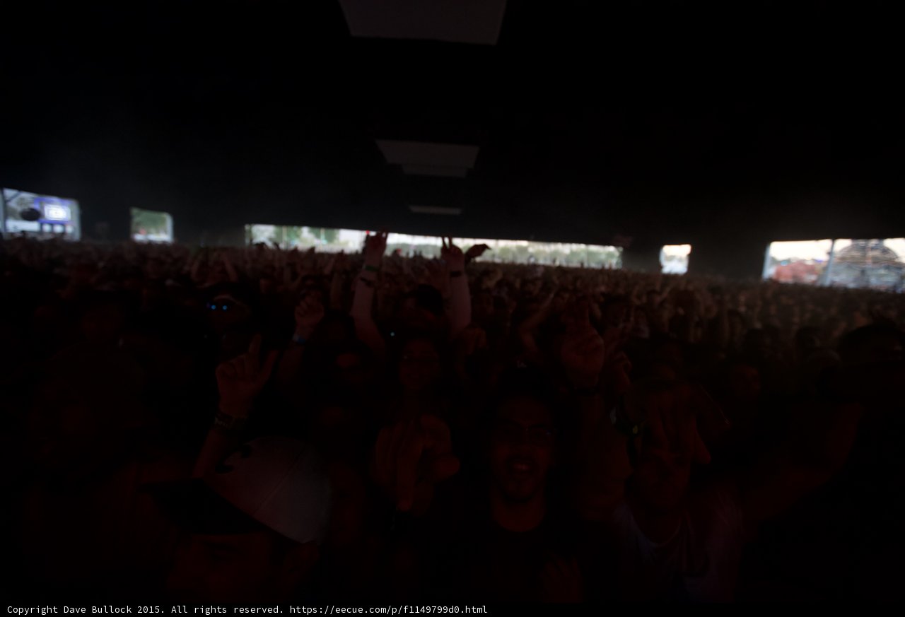 Sahara Tent Dark Crowd