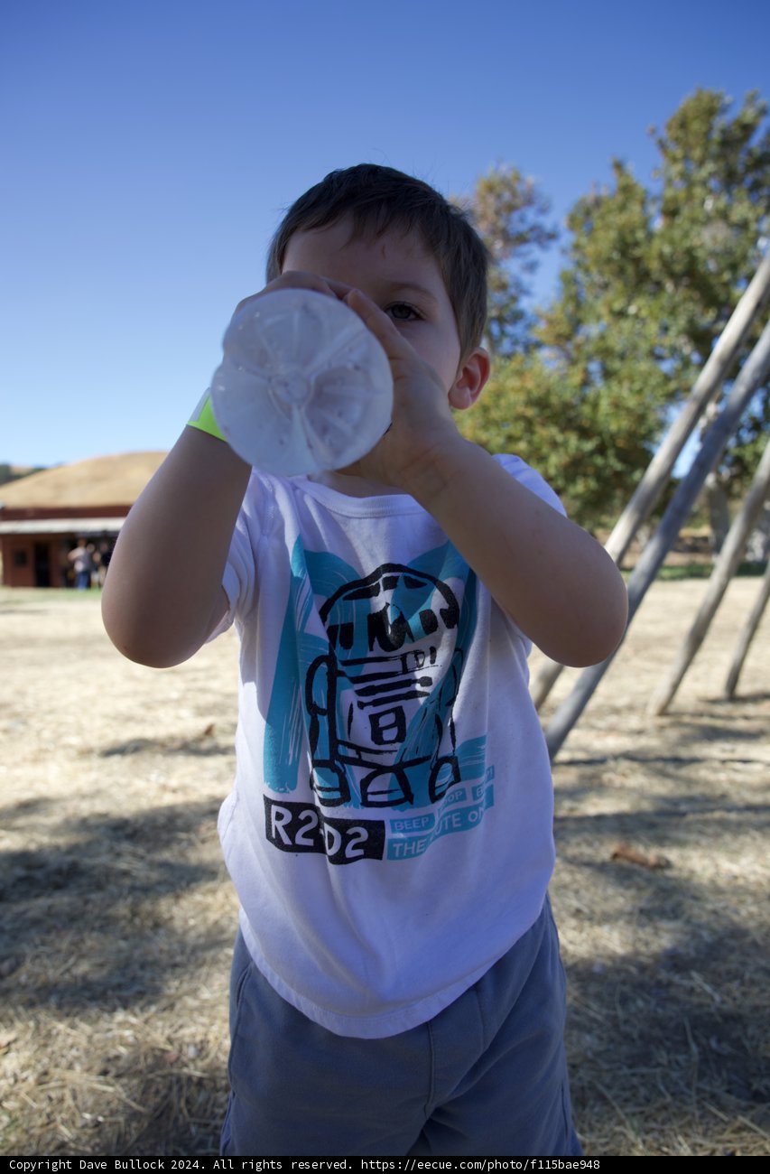 Quenching Summer's Thirst