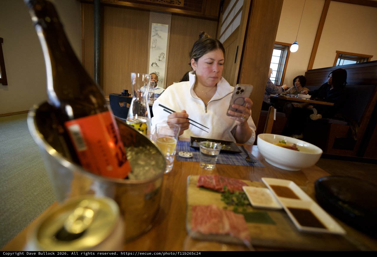Documenting Japanese Cuisine at Traditional Restaurant