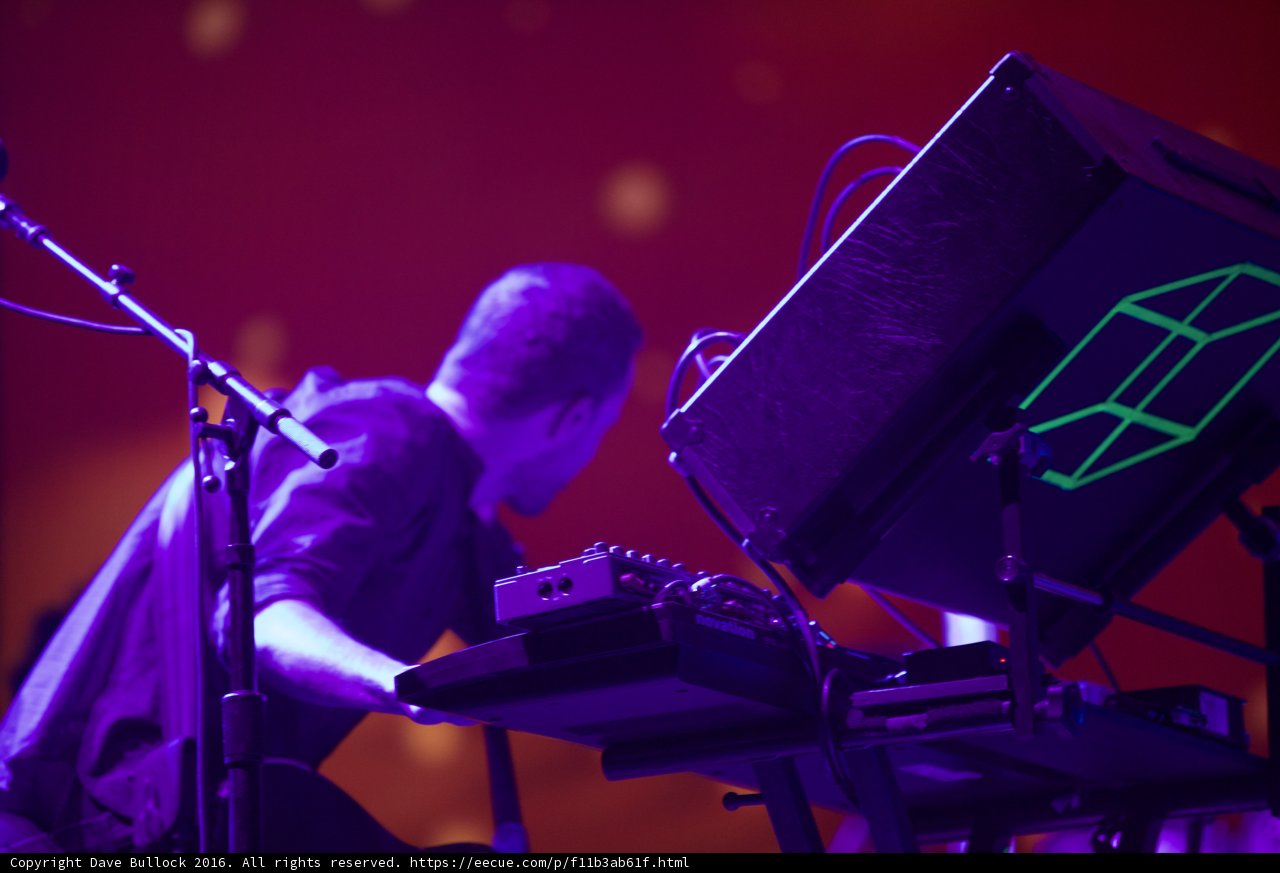 Purple Hues and Keyboard Blues