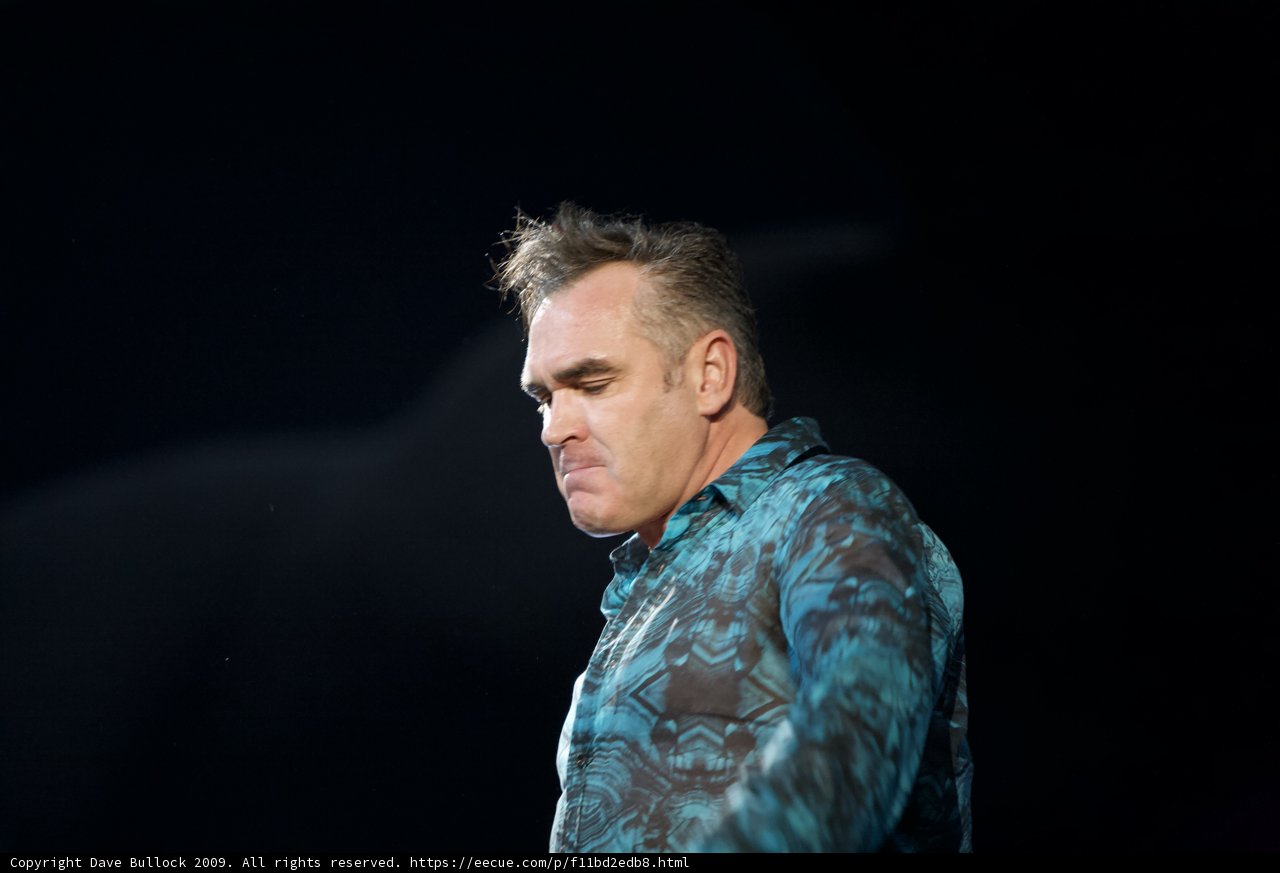 Morrissey Contemplates