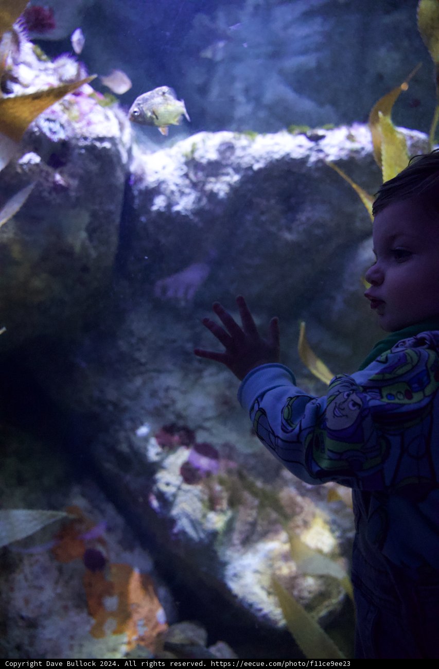 A Tiny Explorer's Fascination