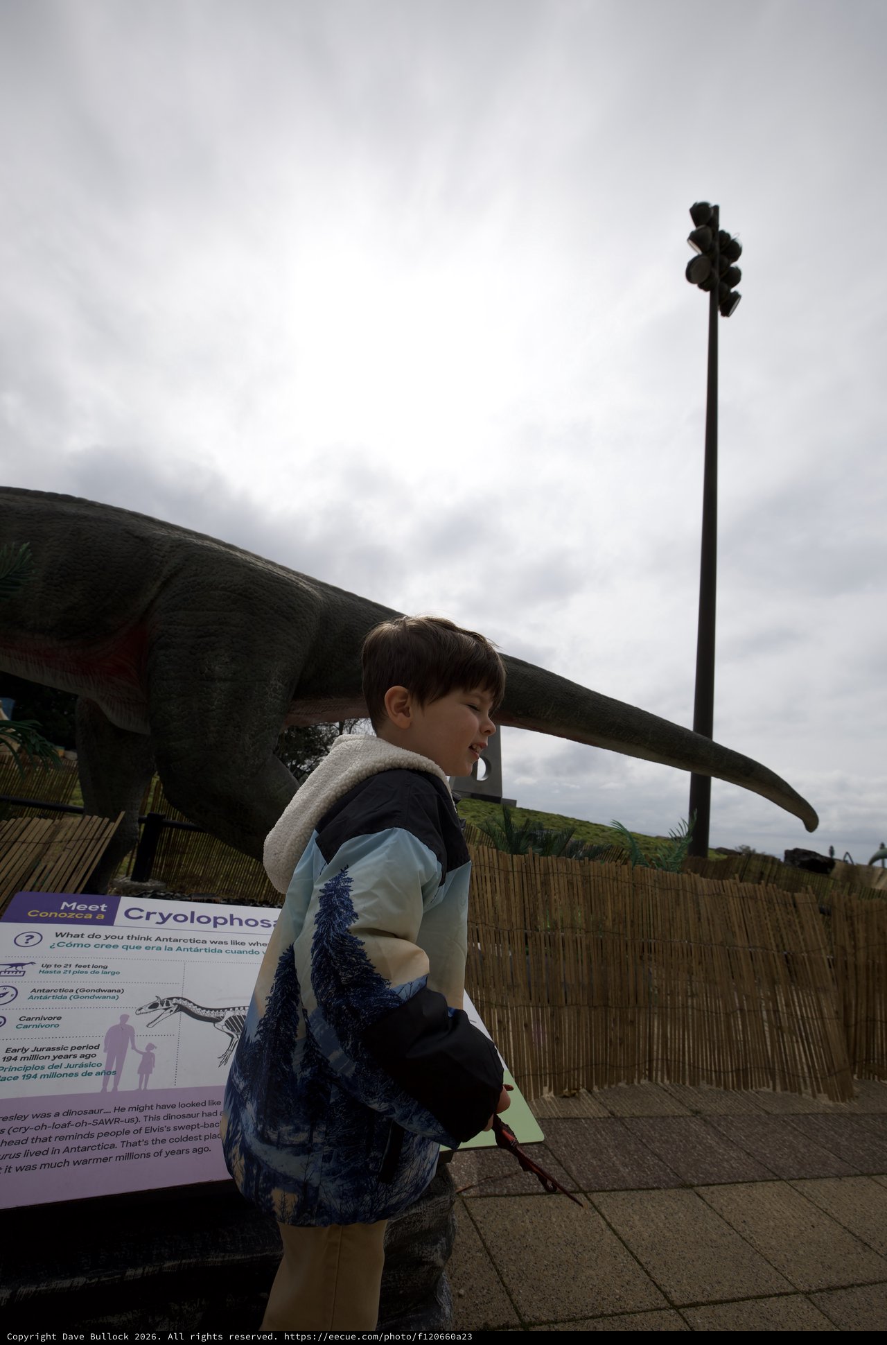 Young Boy Exploring Dinosaur Exhibit at Outdoor Museum