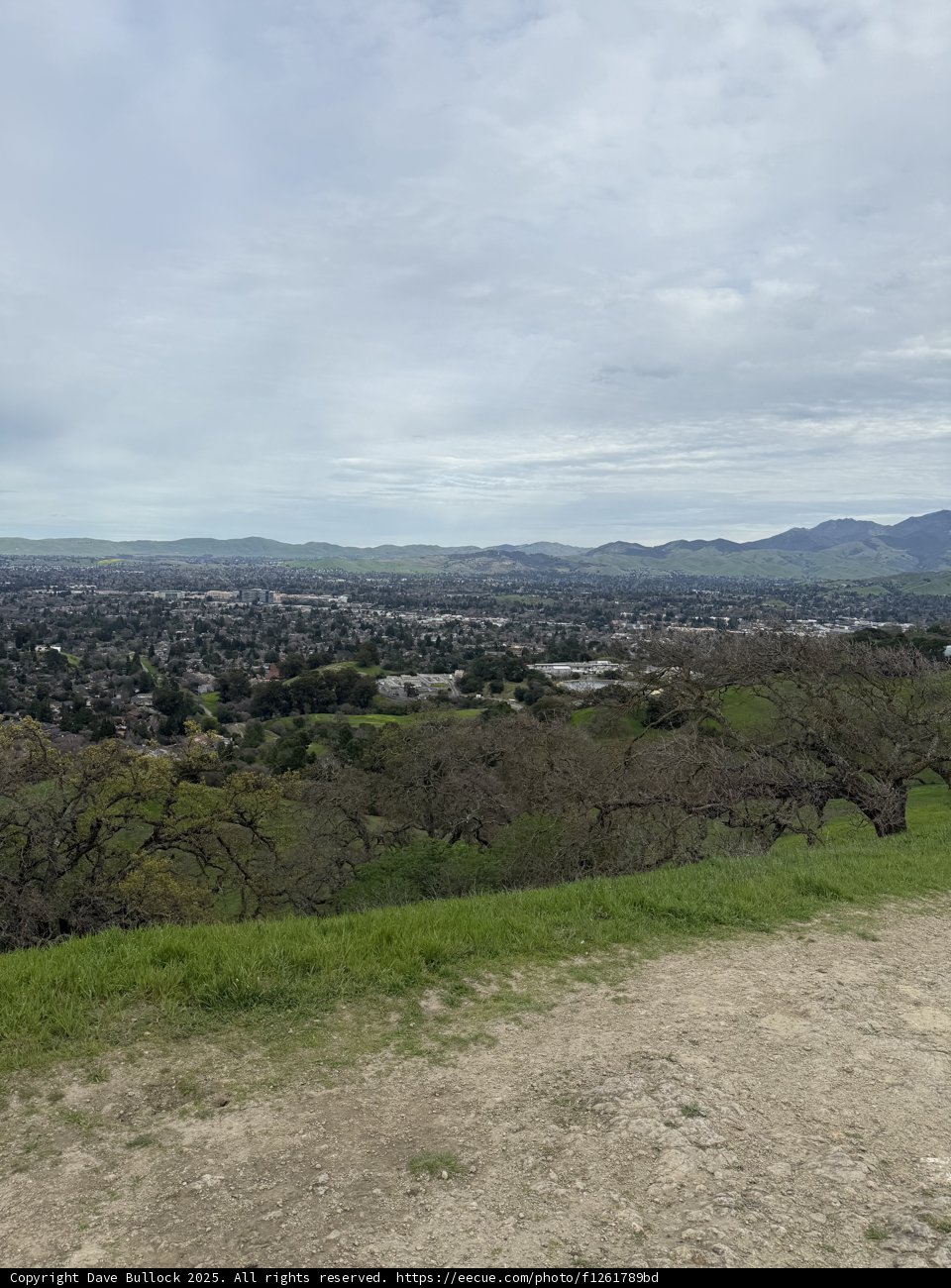 Overcast Serenity in Walnut Creek