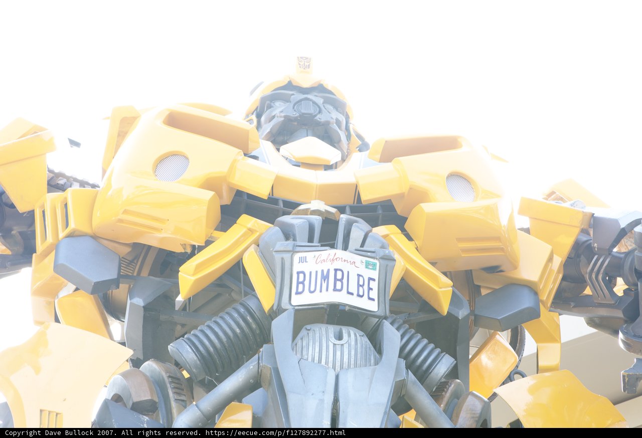 Bumblebee Robot