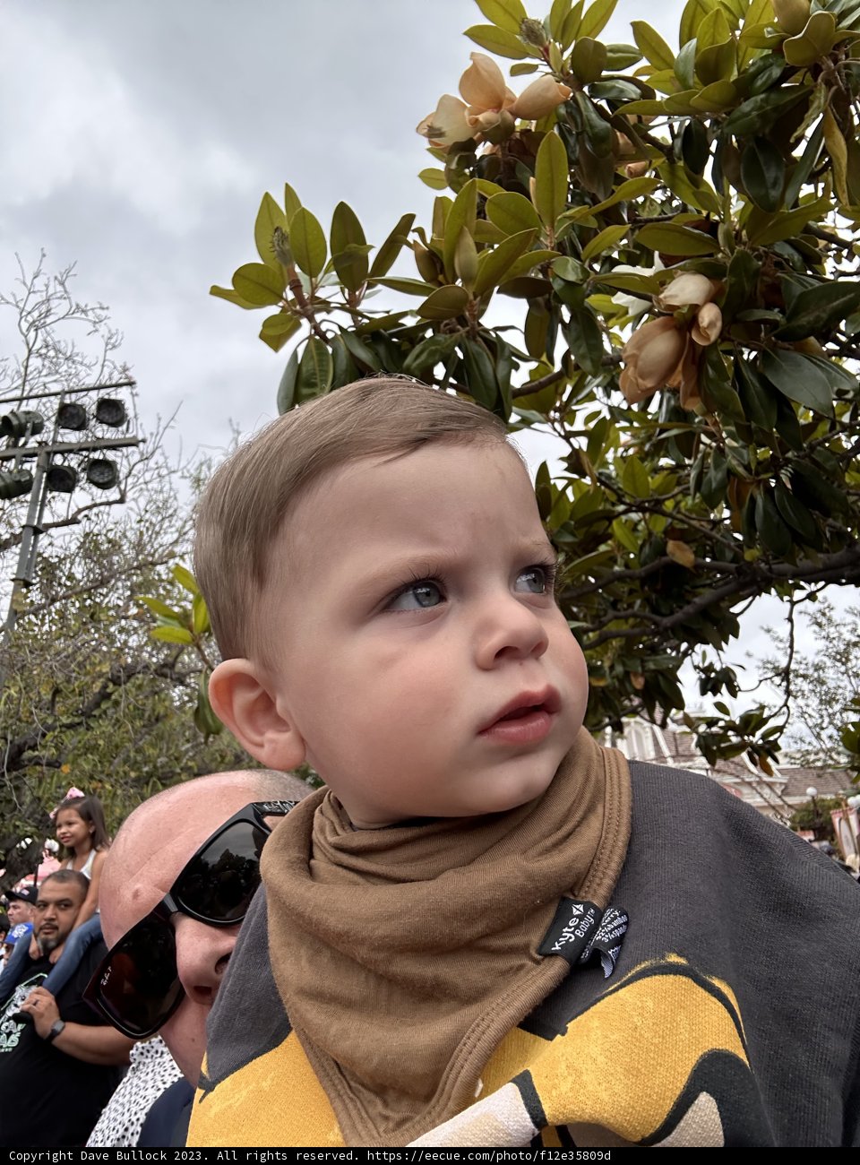 The Tiny Caped Crusader at Disneyland