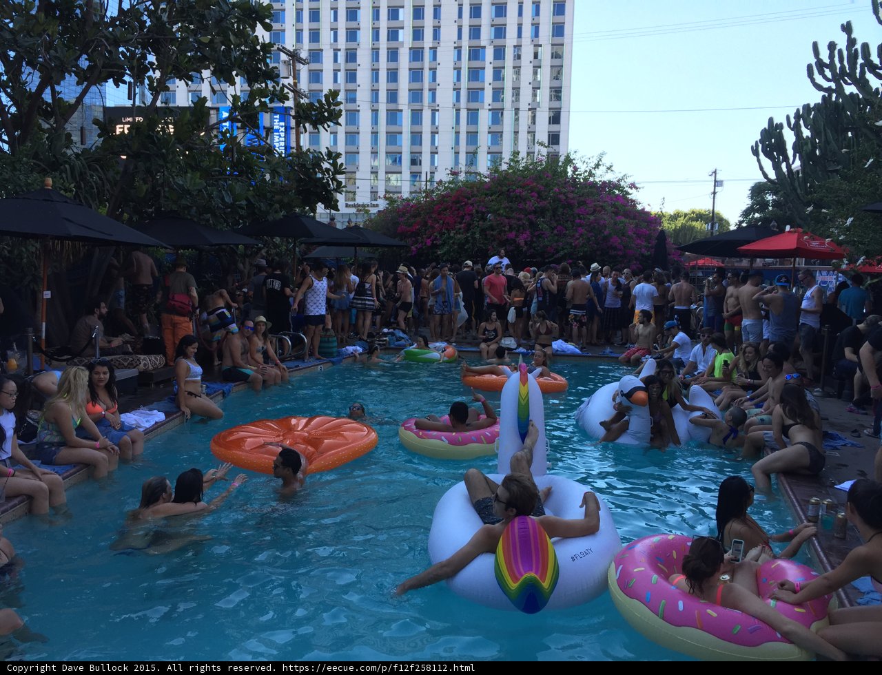 Pool Party Madness