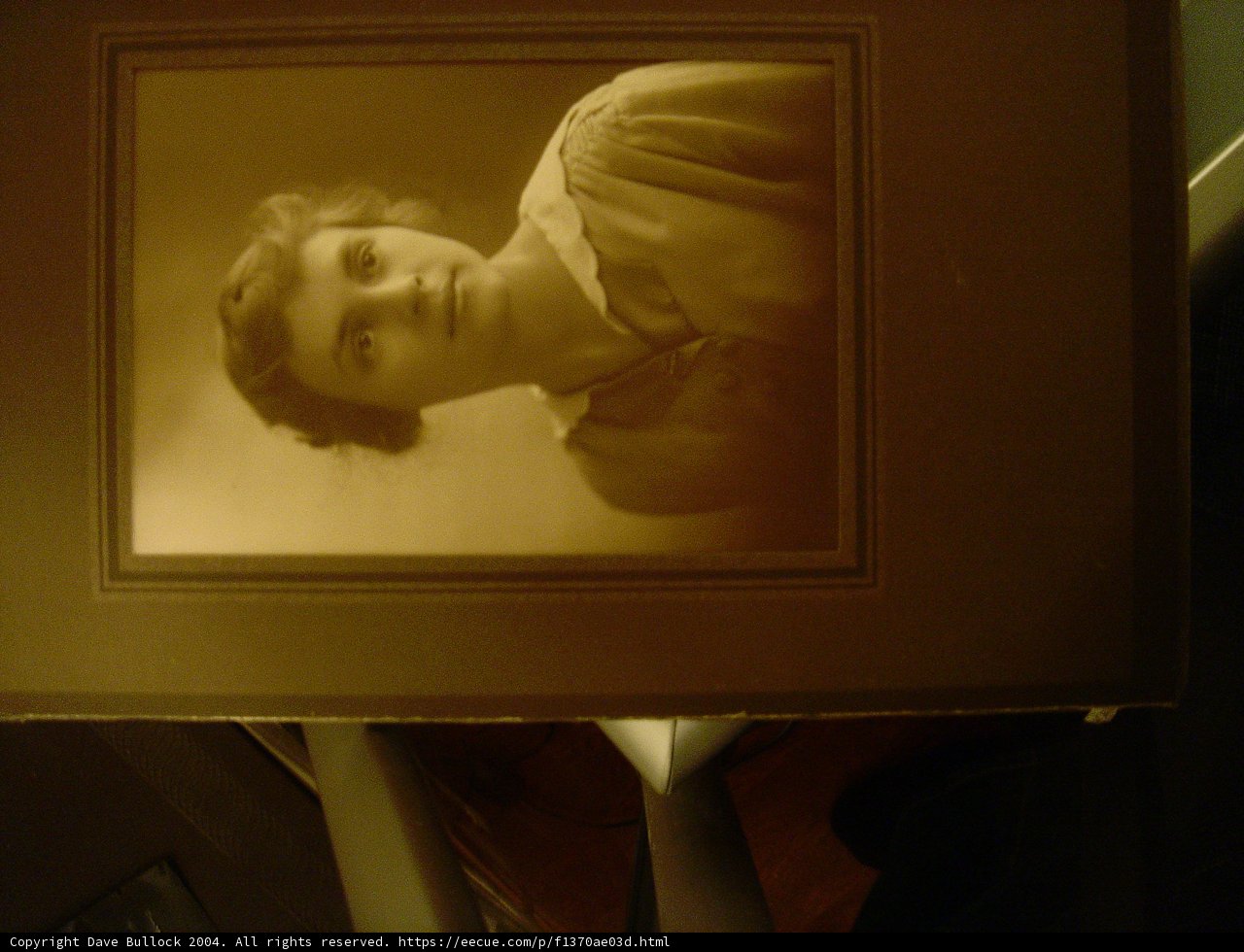 Framed Portrait of a Woman