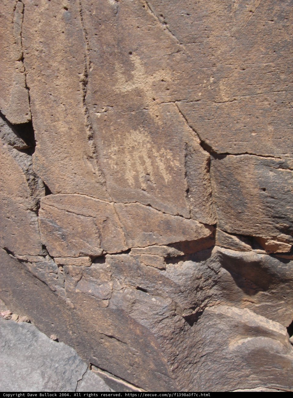 Creature on the Rough Rock
