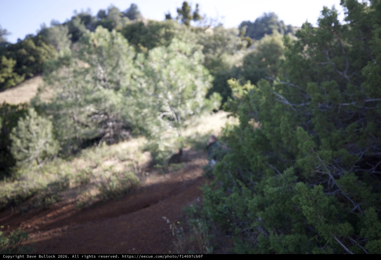 Winding Dirt Trail Through Juniper Canyon Chaparral