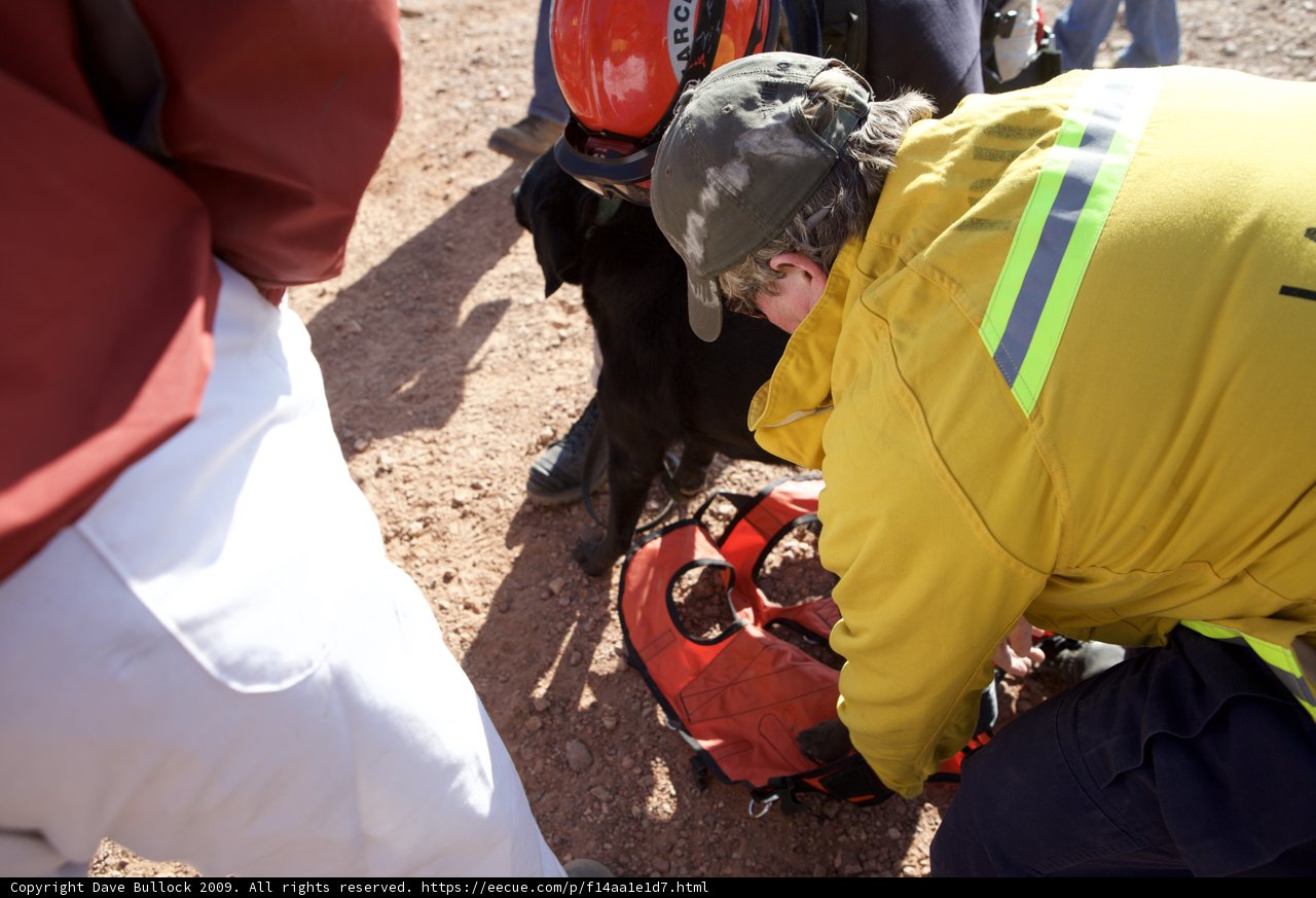 The Rescuer in Yellow