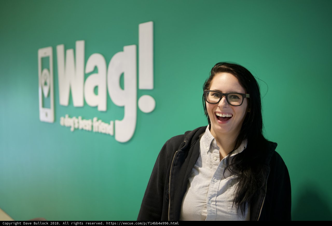 Glasses and Grins at the Wag Logo